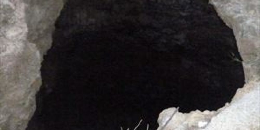 Καστέλι Χανίων: Έσωσαν μέσα από σύγχρονο Καιάδα σκελετωμένο σκύλο