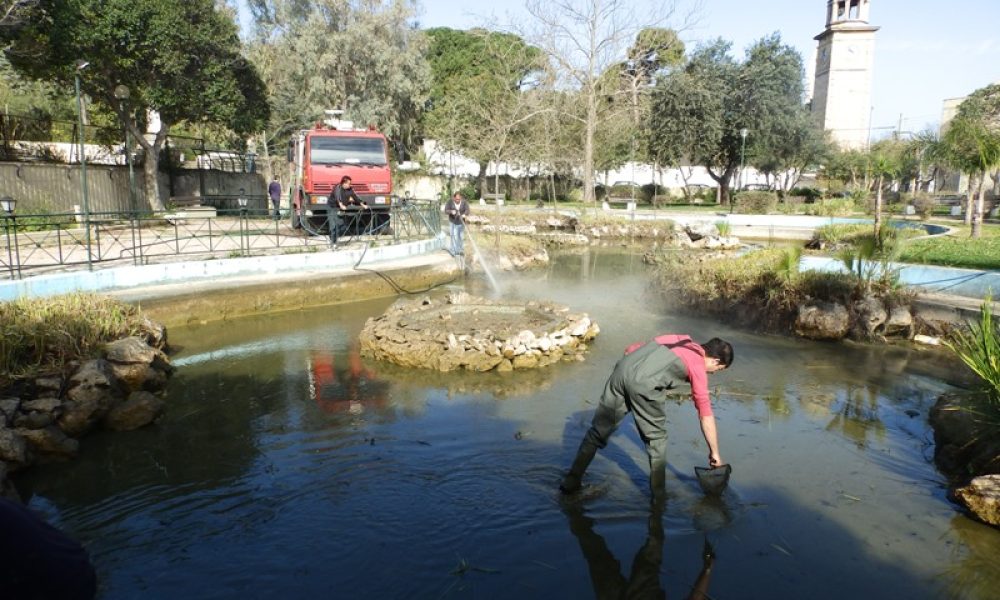 Χανιά: Επιχείρηση καθαρισμού της λίμνης στο Πάρκο Ειρήνης και Φιλίας των Λαών