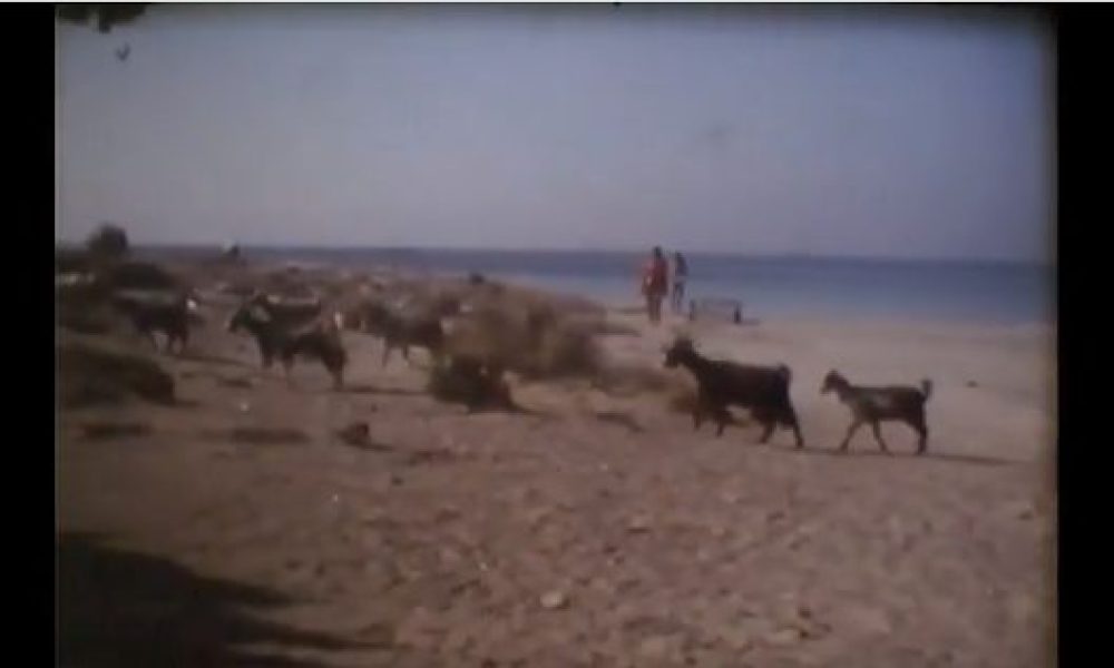 Χανιά : Ελαφονήσι 1979: Όταν στην παραλία σουλάτσαραν κατσίκες και δεν υπήρχαν ξαπλώστρες (Video)