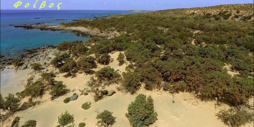 Παραλία Κεδρόδασος – Ένας κρυμμένος θησαυρός στα Χανιά (video)