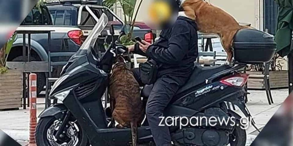 Χανιά: Πρόστιμο 1.500 ευρώ σε οδηγό για τρικάβαλο με δύο σκύλους – «Δεν είναι επικίνδυνο» λέει ο ίδιος (video)