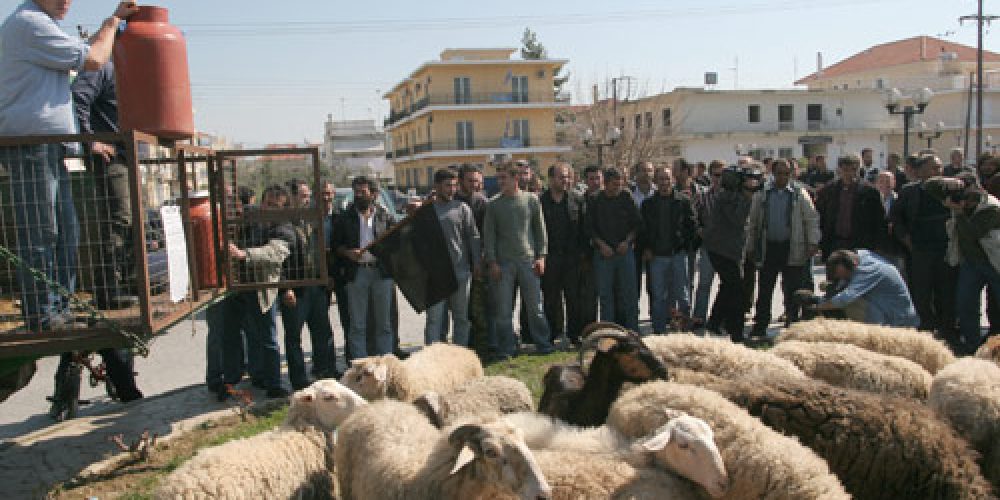 Χανιά: Θα μπλοκάρουν τον κόμβο στις Μουρνιές οι κτηνοτρόφοι