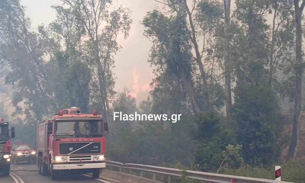 Χανιά: Μεγάλη πυρκαγιά κοντά στον Ναύσταθμο Κρήτης - Εκκενώθηκε ο οικισμός, ασθενείς μεταφέρονται στο ΝΝΚ (φωτο)