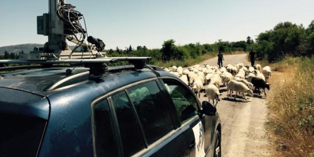Πρόβατα σταμάτησαν ένα υπερσύγχρονο αυτοκίνητο στα Χανιά (φωτο)