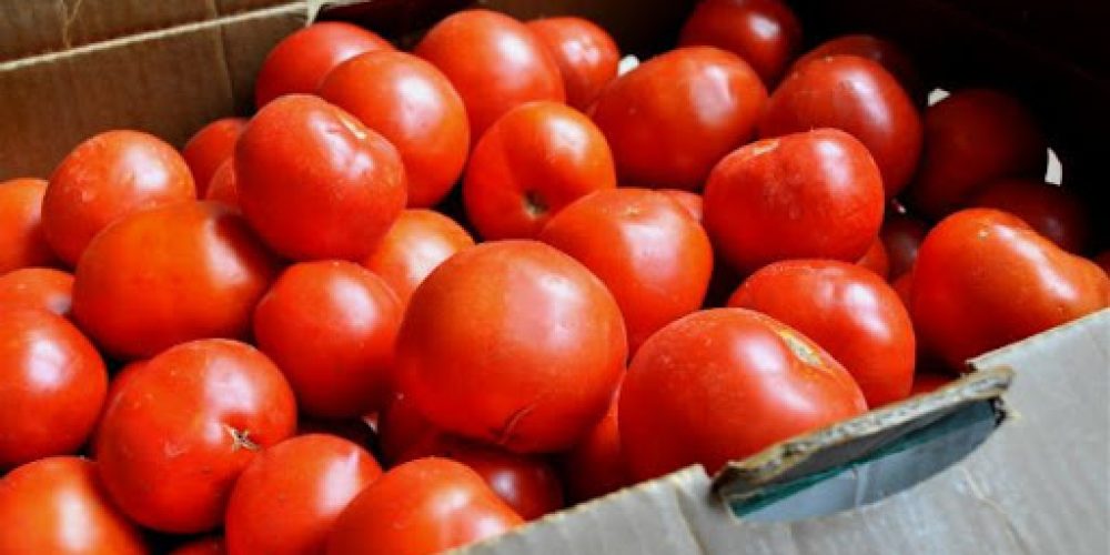 Χανιά: Μεγάλη απάτη με… ντομάτες