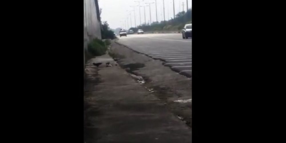 Κρήτη: Οδηγός – χάρος έβαλε όπισθεν στην Εθνική (Video)