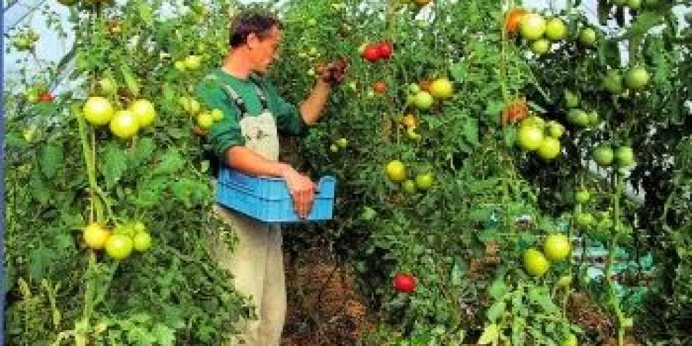 Πάνω απο 22 εκατ. ευρώ σε νέους αγρότες στην Κρήτη-Δείτε όλα τα ονόματα