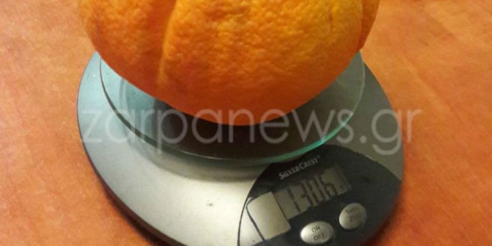 Πορτοκάλι – γίγας για ρεκόρ Γκίνες σε περιβόλι των Χανίων (φωτο)