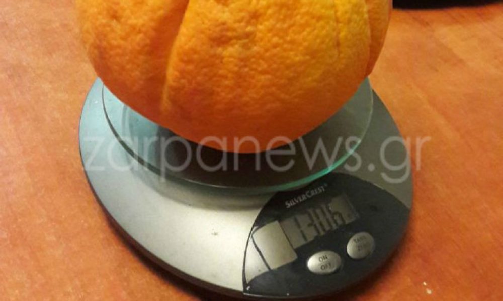 Πορτοκάλι – γίγας για ρεκόρ Γκίνες σε περιβόλι των Χανίων