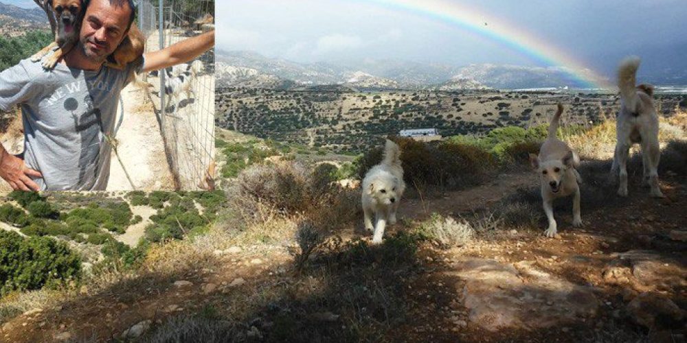Ο άντρας που ζει στην Κρήτη συντροφιά με διακόσια πενήντα σκυλιά