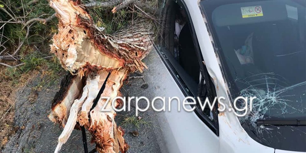 Χανιά: Δέντρο ξεριζώθηκε και έπεσε πάνω σε διερχόμενο όχημα στην εθνική (φωτο)