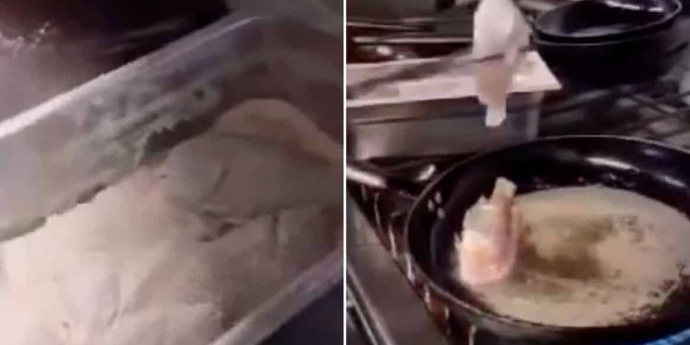 Σάλος με το βίντεο από ταβέρνα που βάζουν ζωντανά ψάρια στο τηγάνι (video)