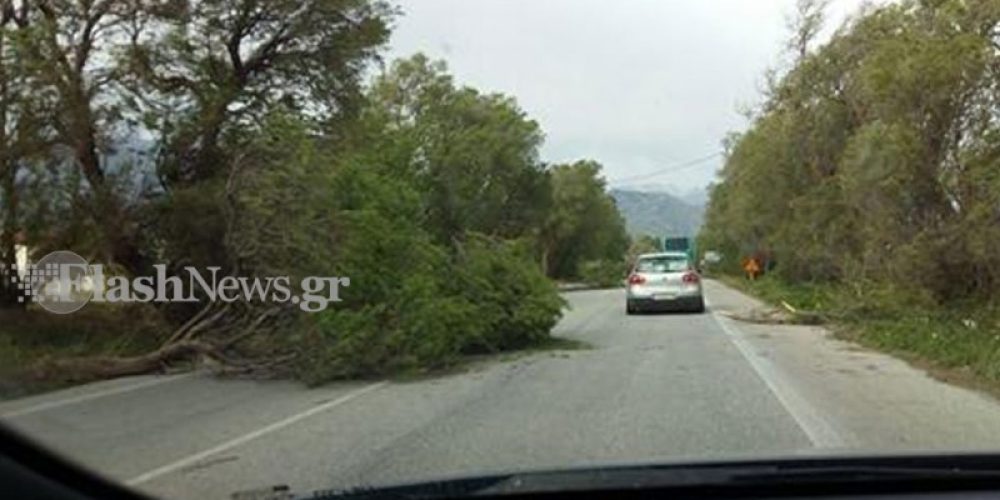 Προβλήματα στην Εθνική οδό από πτώση δέντρων – Προσοχή στους οδηγούς (φωτο)