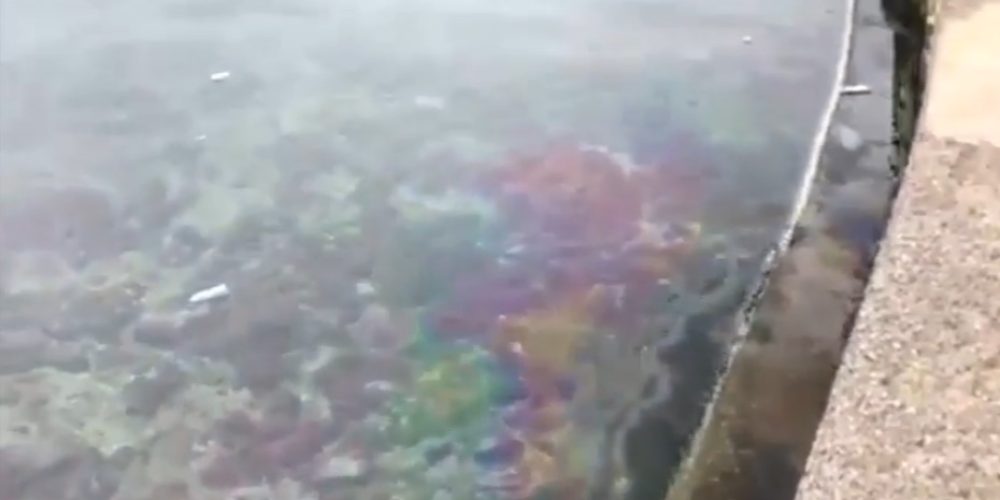 Εμφανίστηκε θαλάσσια ρύπανση στο παλιό λιμάνι Χανίων (video)