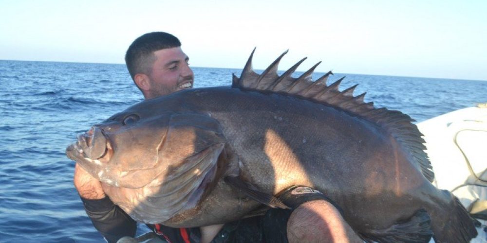 Χανιά: Χανιώτης έπιασε υπερμεγέθες ψάρι κοντά 50 κιλών! (φωτο)