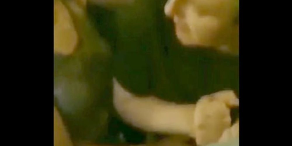 Ζευγάρι έκανε στοματικό σεξ σε αεροπλάνο και συνελήφθη – Δείτε βίντεο