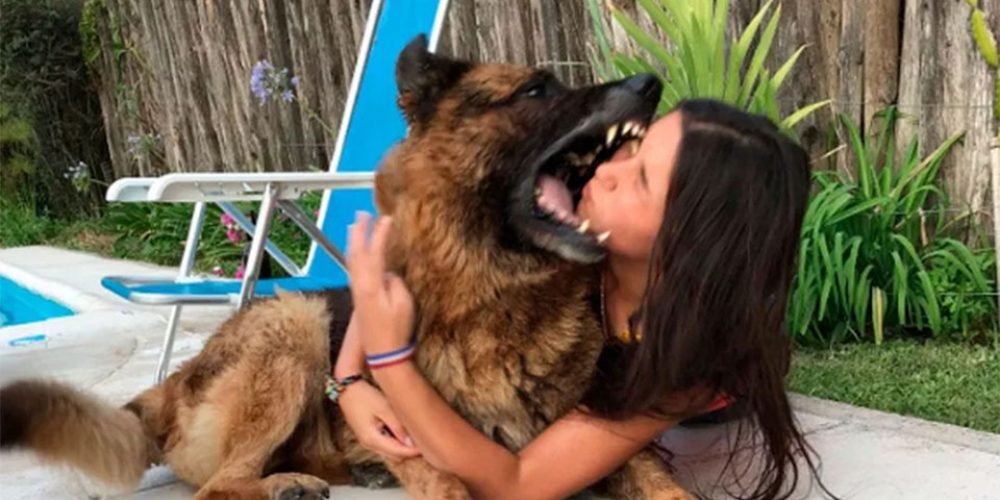 Εικόνες – ΣΟΚ: Πήγε να βγάλει selfie με το σκύλο και την κατακρεούργησε