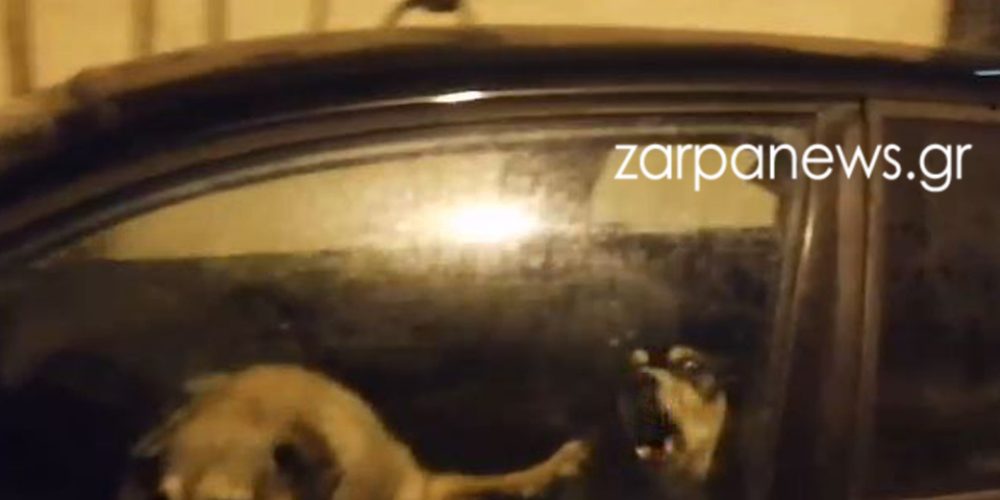 Χανιά: Τρία σκυλιά κλειδωμένα μέσα σε ένα αμάξι τα ξημερώματα – Υπάρχει λογική εξήγηση; (video)