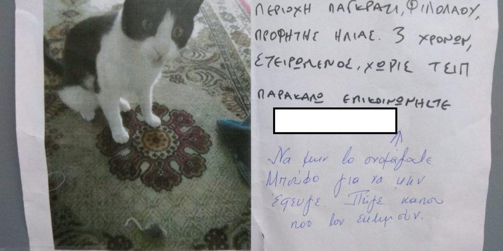 Μυθική απάντηση σε ανακοίνωση για χαμένο γάτο στο Παγκράτι που τον έλεγαν Μπούφο (φωτο)