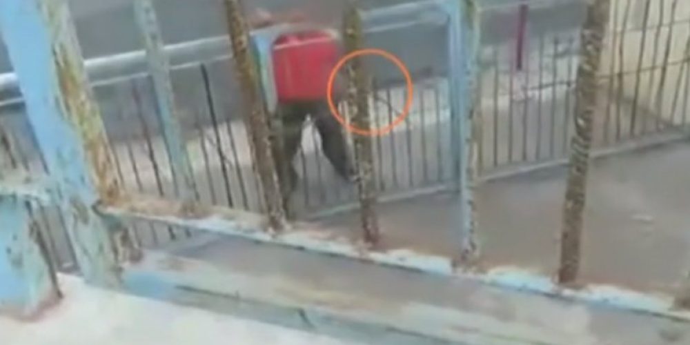 Κρήτη: Γείτονας σχολείου που τελεί υπό κατάληψη απειλούσε μαθητές με τσεκούρι (video)