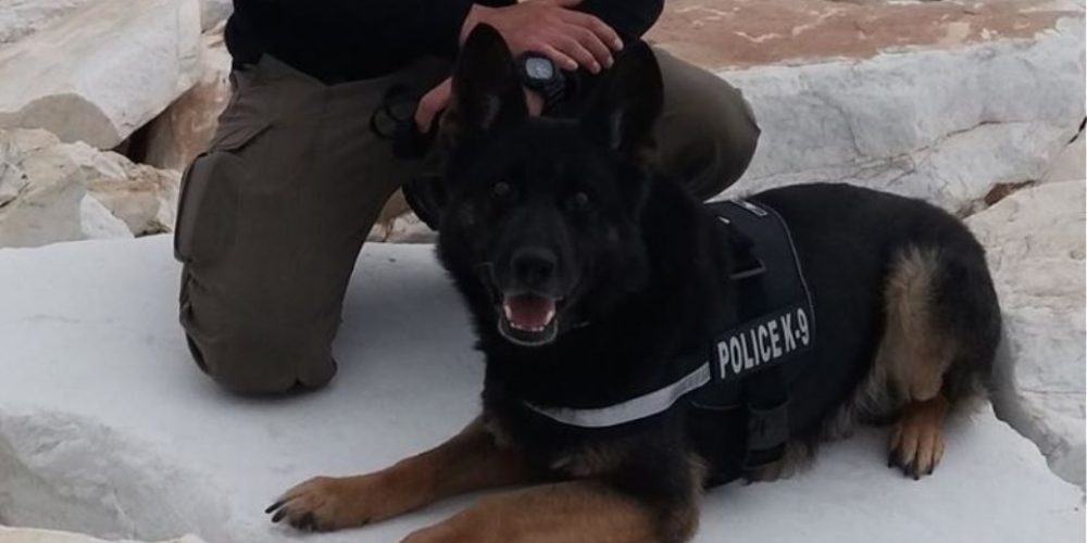 Το συγκινητικό αντίο της ΕΛΑΣ στον αστυνομικό σκύλο «Τζάκι»