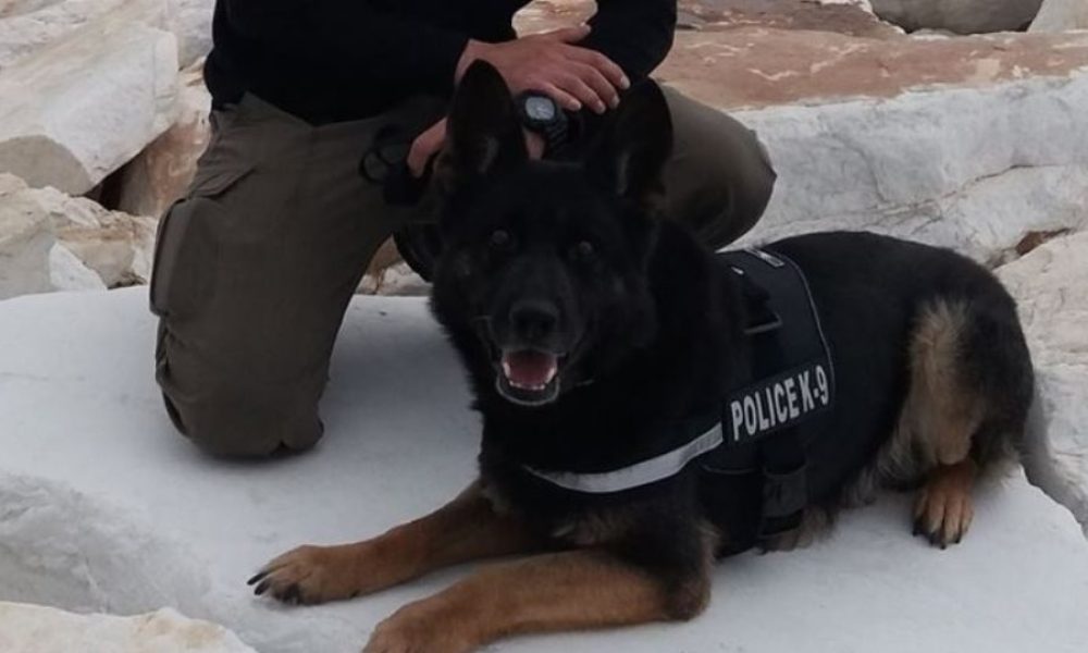 Το συγκινητικό αντίο της ΕΛΑΣ στον αστυνομικό σκύλο «Τζάκι»