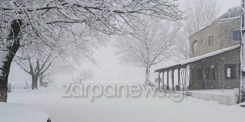 Χανιά: Στα λευκά ο Ομαλός – Το χιόνι έφτασε τα 10 εκατοστά (φωτο)