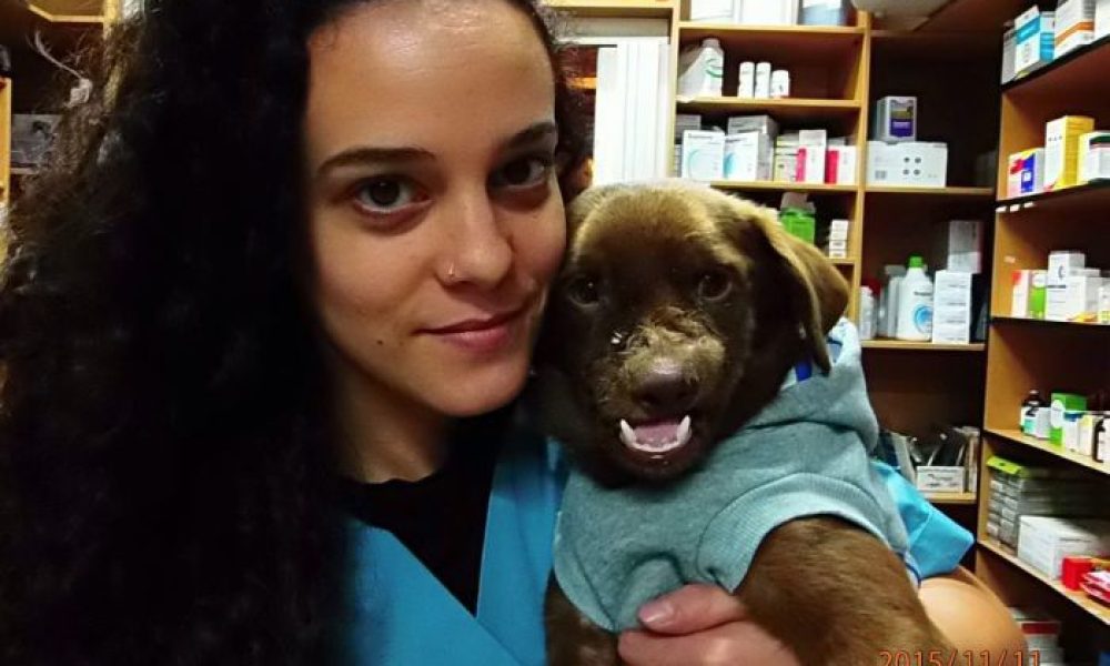 Κτηνίατρος έκανε το… θαύμα της