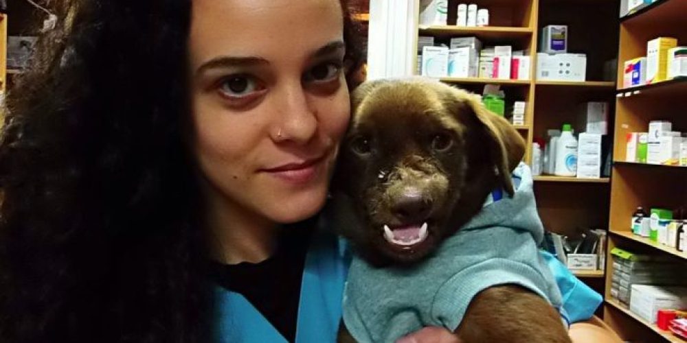 Χανιά: Κτηνίατρος έκανε το… θαύμα της