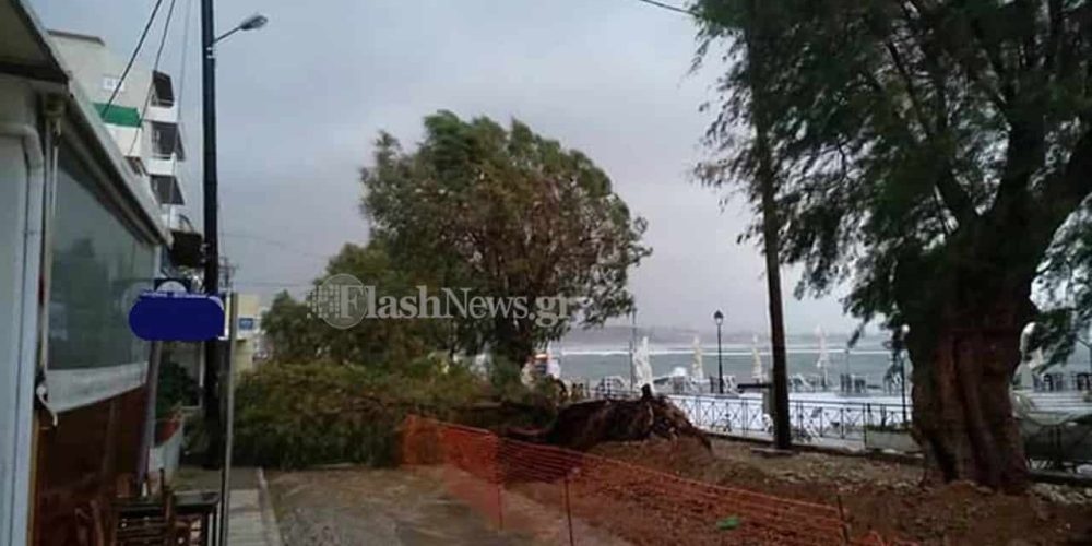 Απίστευτη εικόνα στην παραλία της Νέας Χώρας- Έπεσαν ολόκληρα δέντρα (φωτο)