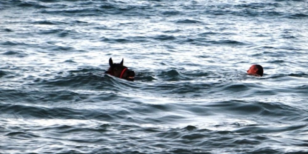 Χανιά: Άλογα στην Χρυσή Ακτή Οι μοναδικές στιγμές της Bella στην θάλασσα (Photos)