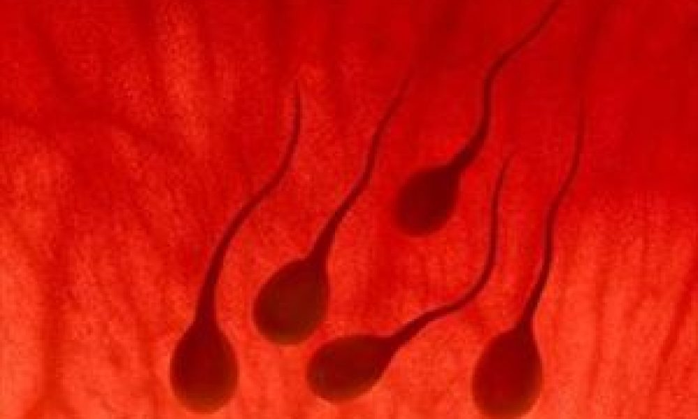 Αποκατάσταση σπέρματος μέσω βλαστοκυττάρων