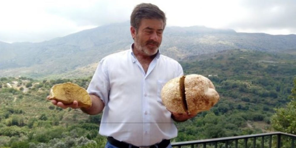 Πρωτοφανές για την Κρήτη: Γιγάντιο μανιτάρι σχεδόν 4 κιλά! (Photos)
