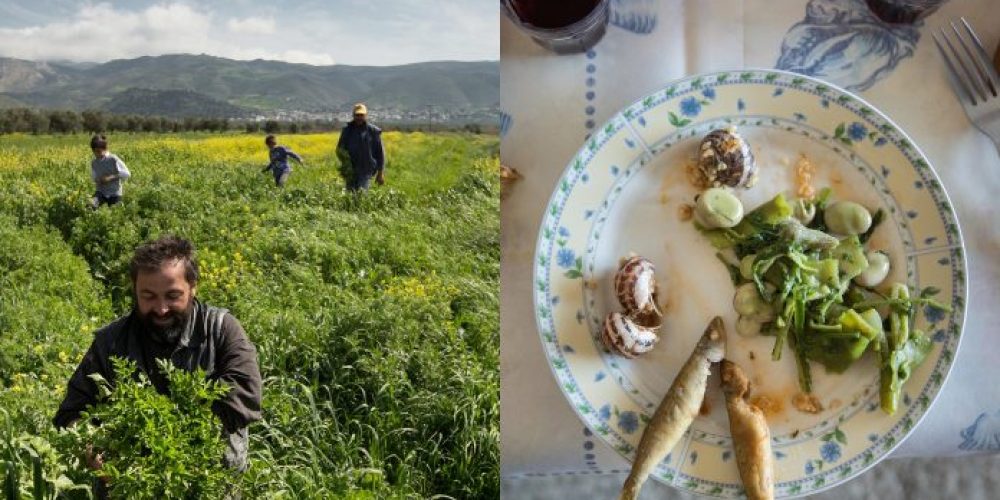 Κρήτη: Ρεπόρτερ του National Geographic μαζεύει χόρτα, μαγειρεύει και κουζουλαίνεται με τους Κρητικούς! (Photos)