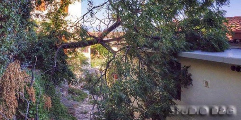 Δέντρο έπεσε στην αυλή σπιτιού στο κέντρο των Χανίων εγκλωβίζοντας γυναίκα