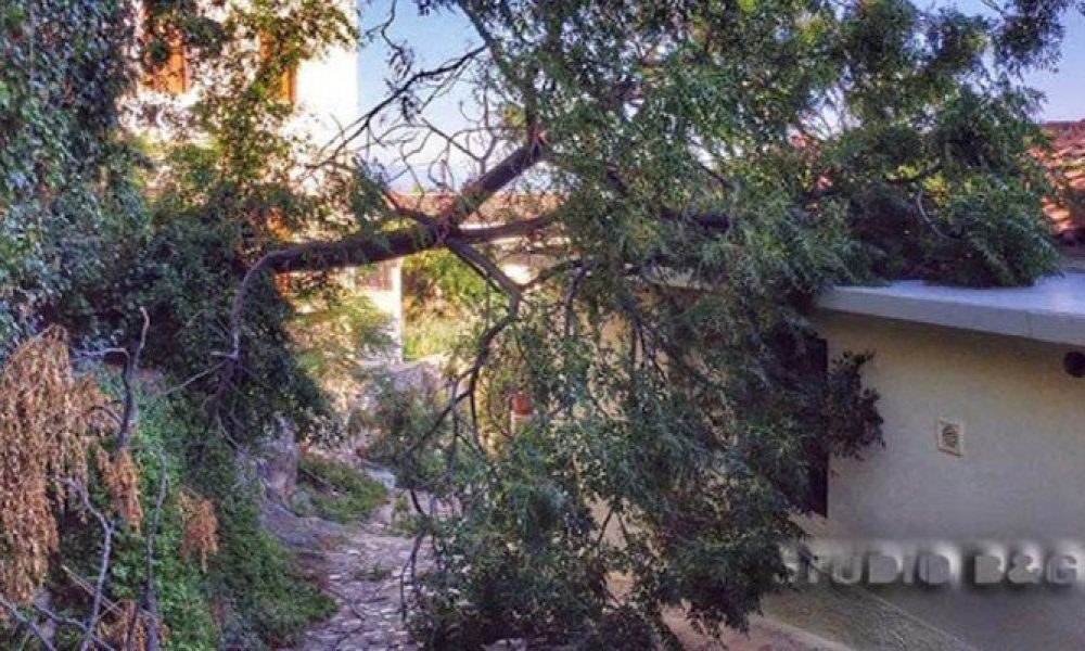 Δέντρο έπεσε στην αυλή σπιτιού στο κέντρο των Χανίων εγκλωβίζοντας γυναίκα