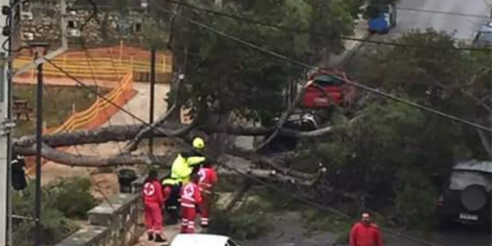 Έπεσε δέντρο πάνω σε αυτοκίνητο στην Γιαμπουδάκη (Photos)