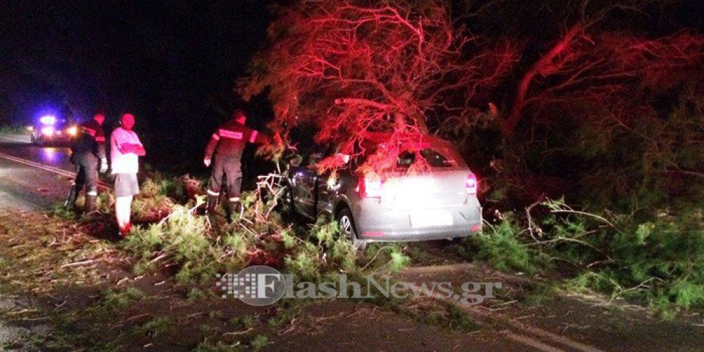 Δέντρο έπεσε σε αυτοκίνητο στην εθνική οδό στα Χανιά (φωτο)