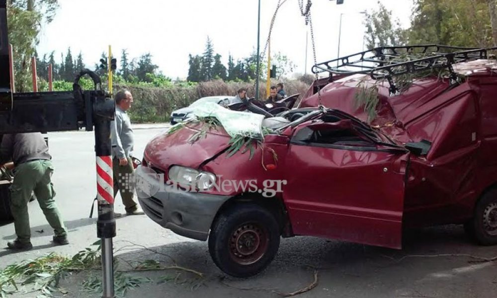 Τραγωδία στα Χανιά - Δέντρο καταπλάκωσε και σκότωσε οδηγό (φωτο)