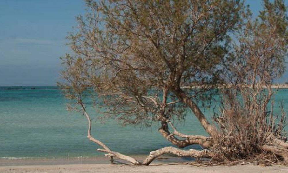 Η παραλία των Χανίων στις 10 πιο όμορφες του κόσμου και τρίτη στην Ευρώπη