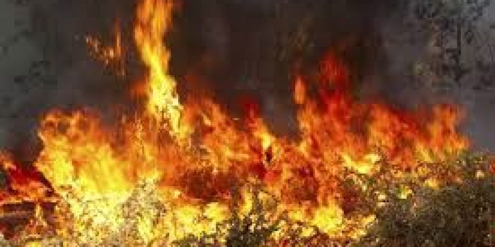 Συναγερμός στην πυροσβεστική για απανωτές φωτιές στο νομό Χανίων