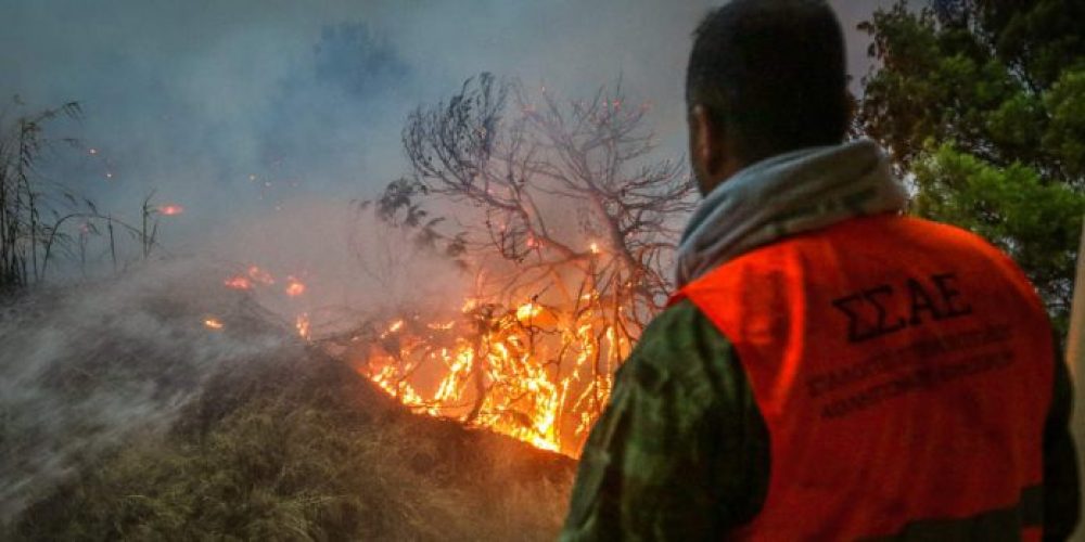 Χανιά: Συνελήφθη ένας 45χρονος για τη φωτιά στις Βρύσσες Αποκορώνου