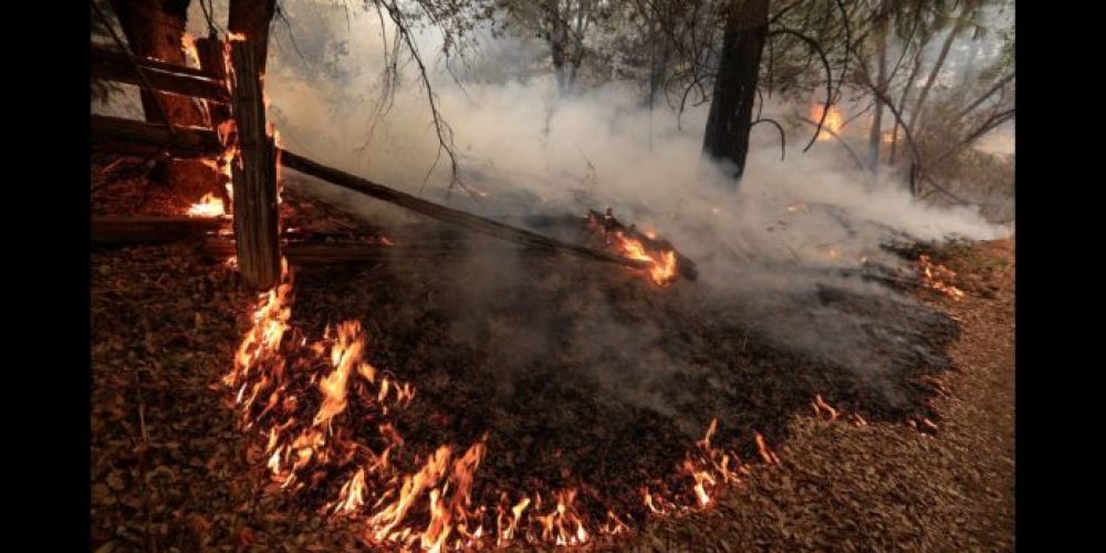 Χανιά: Φωτιά χθες το βράδυ στον Πλατανιά