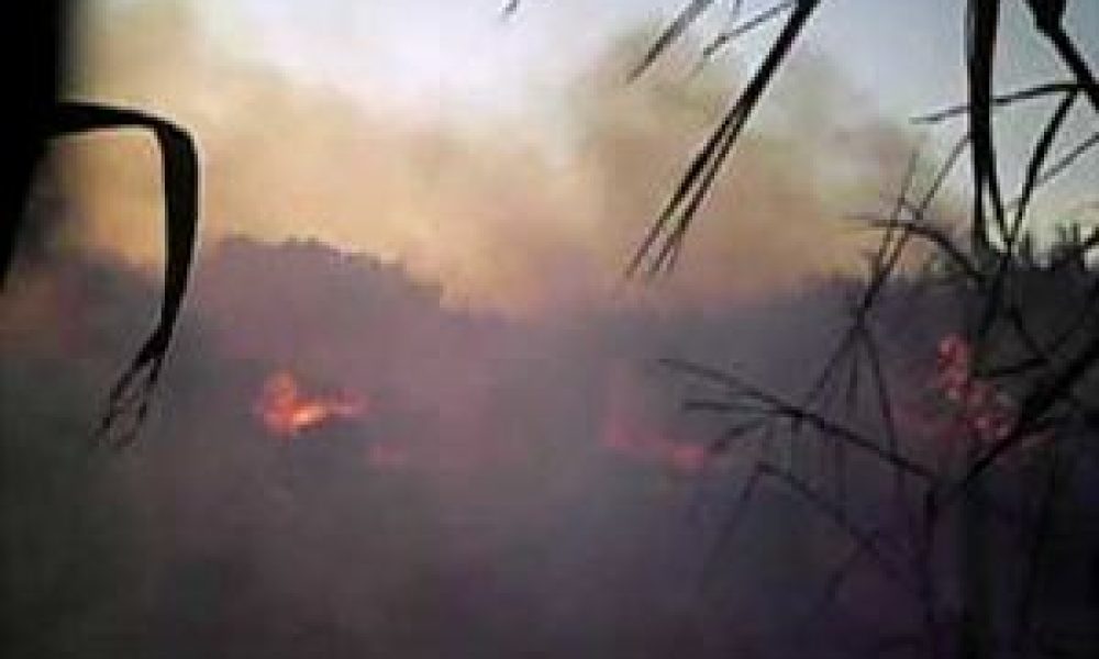 Συναγερμός από φωτιά σε χωριό κοντά στις Βρύσες Χανίων