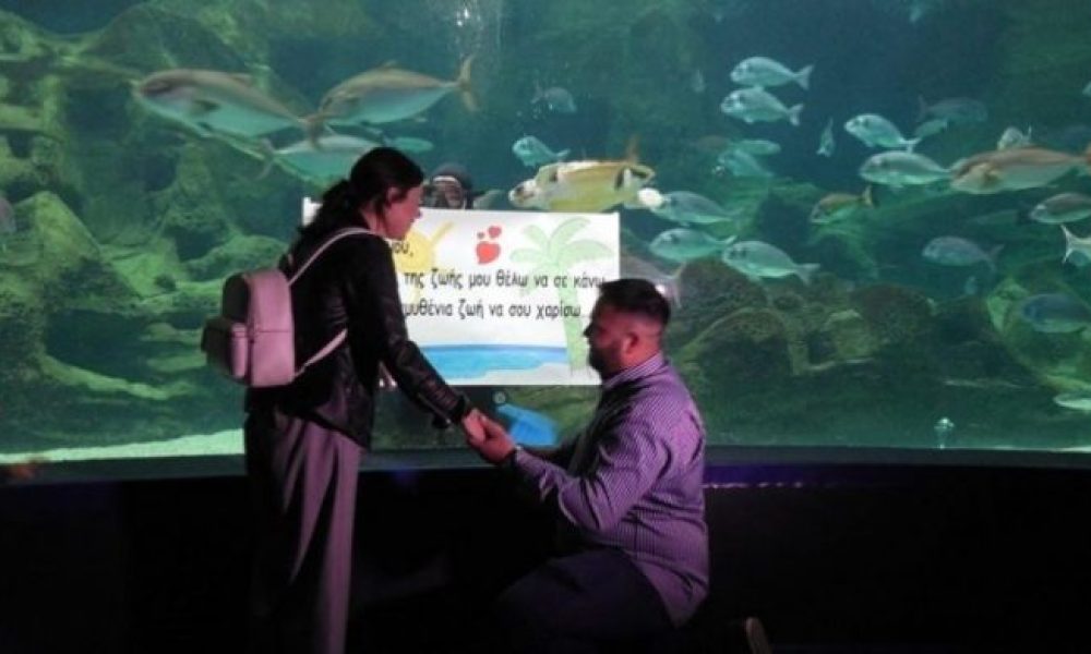 Κρήτη: Μια… υποβρύχια πρόταση γάμου, βγαλμένη από παραμύθι! (Photos)