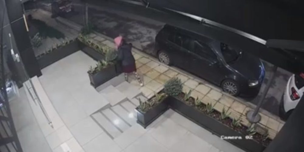 Κρήτη: Γυναίκα έκλεψε τις… γλάστρες από μαγαζί! – Απίστευτο βίντεο