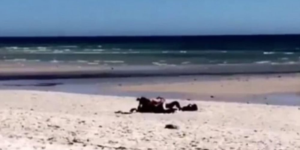 Βίντεο: Ασυγκράτητο ζευγάρι κάνει σεξ φόρα-παρτίδα σε δημοφιλή παραλία της Αυστραλίας
