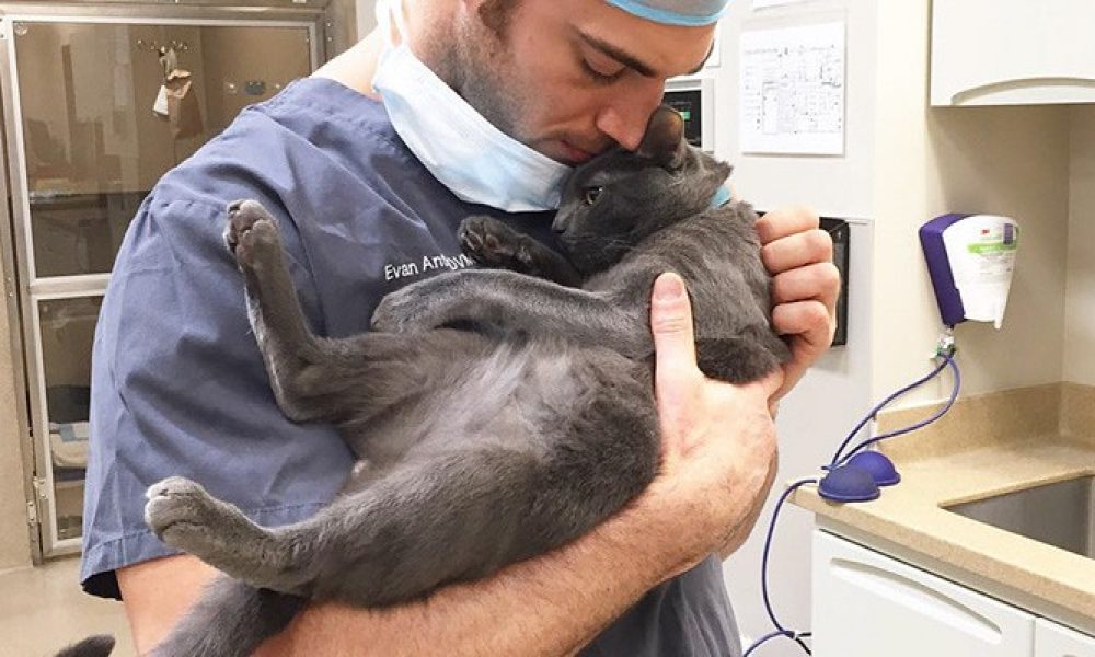 Αυτός είναι ο πιο sexy κτηνίατρος! Οι φωτογραφίες του έχουν ρίξει το Instagram