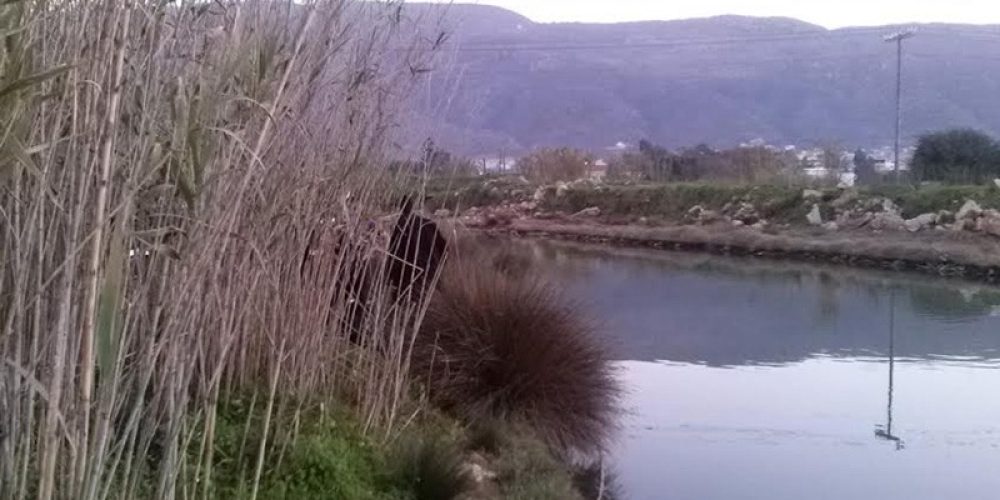 Συναγερμός στα Χανιά – Εντοπίστηκε πτώμα σε ποταμό