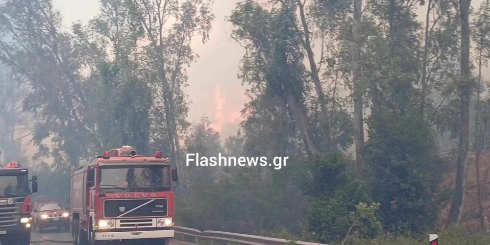 Χανιά: Μεγάλη πυρκαγιά κοντά στον Ναύσταθμο Κρήτης – Εκκενώθηκε ο οικισμός και το Ναυτικό Νοσοκομείο (φωτο – video)